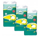 Pack 176 couches Wilogi Taille 5 Junior (11-25-kg) - Degriffcouches